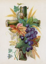 La Croix